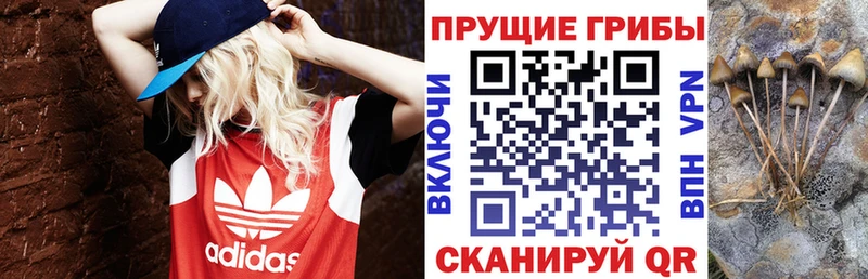 цена   Никольск  Галлюциногенные грибы мицелий 
